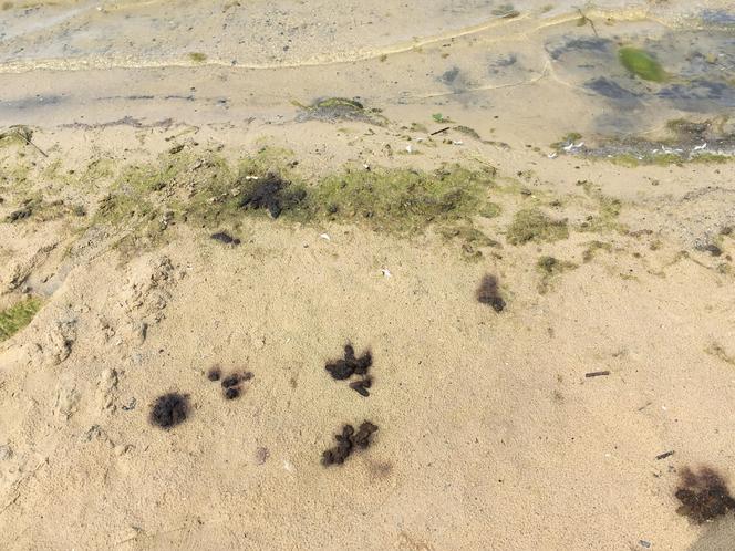 Plaża w Wąsoczu jest piękna, choć na chwilę obecną... bardzo brudna