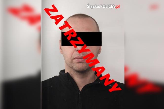Śląska policja zatrzymała groźnego przestępcę! Podejrzany o rozboje i włamania siedział w domku nad jeziorem