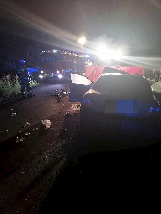  Śmiertelny wypadek pod Sieradzem. 23-letnia kobieta nie żyje [ZDJĘCIA].