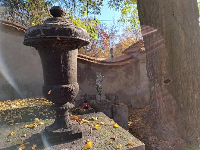 Zabytki Starego Cmentarza w Tarnowie
