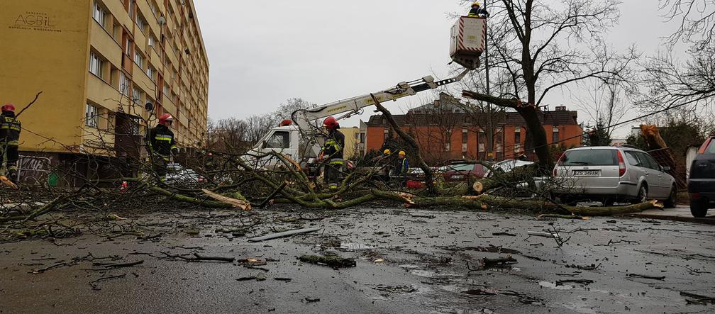 Złamane drzewo uszkodziło samochód na ul. Podhalańskiej w Szczecinie