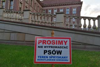 Śląskie: Trawniki opryskane TAJEMNICZĄ SUBSTANCJĄ. To ma odstraszać psy i właścicieli