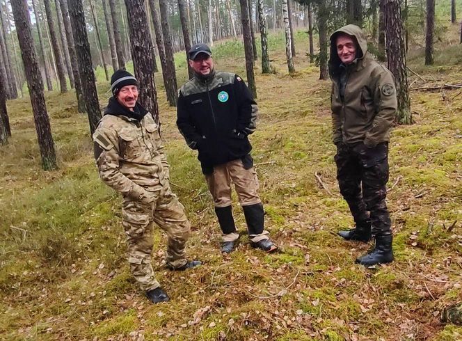 Cenne odkrycie w Borach Tucholskich. Za jedną taką srebrną monetę Krzyżacy kupowali bochenek chleba czy garść soli