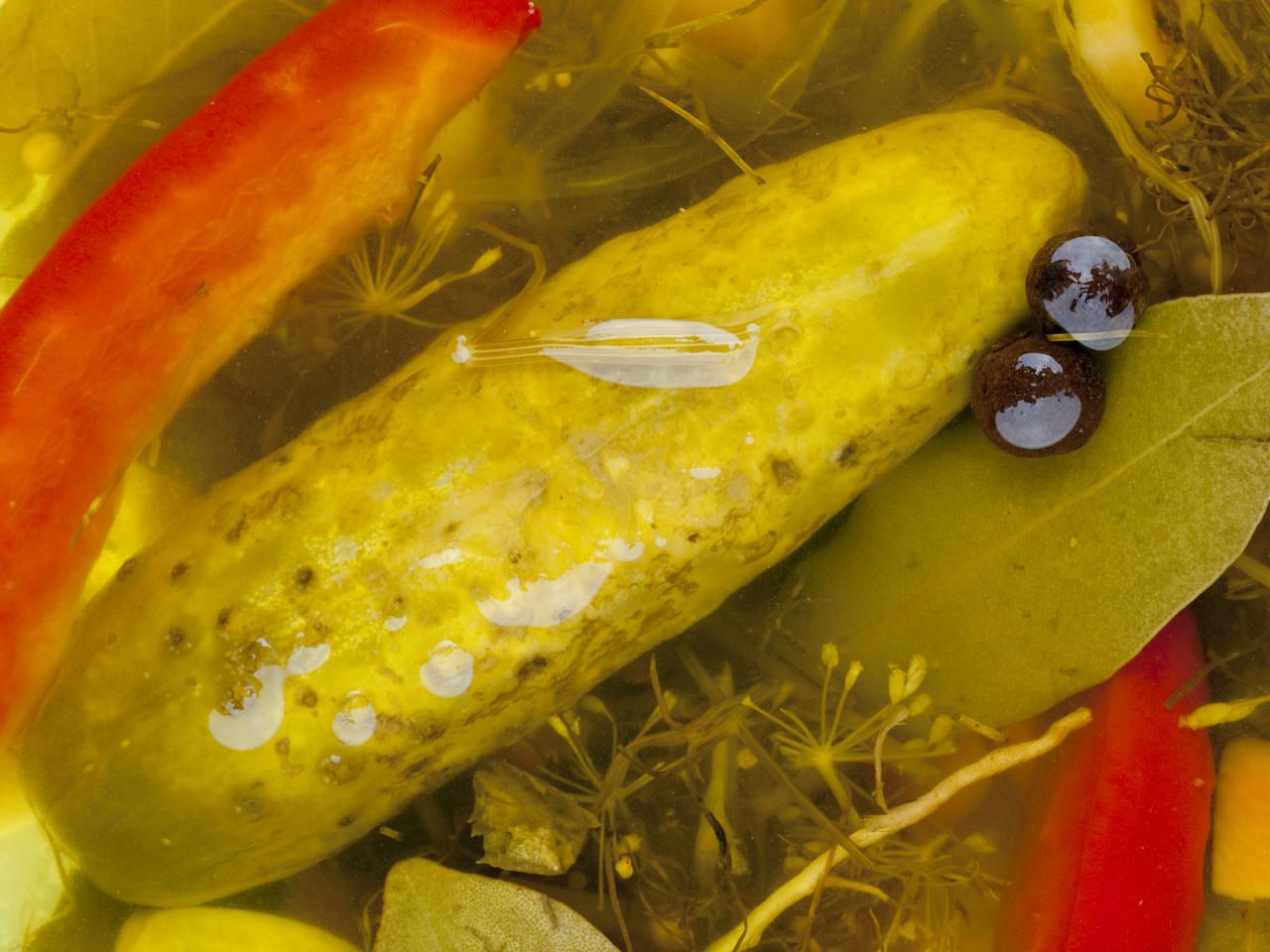 Żywność fermentowana – zdrowa czy zepsuta?