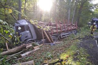 Ciężarówka wpadła do rowu