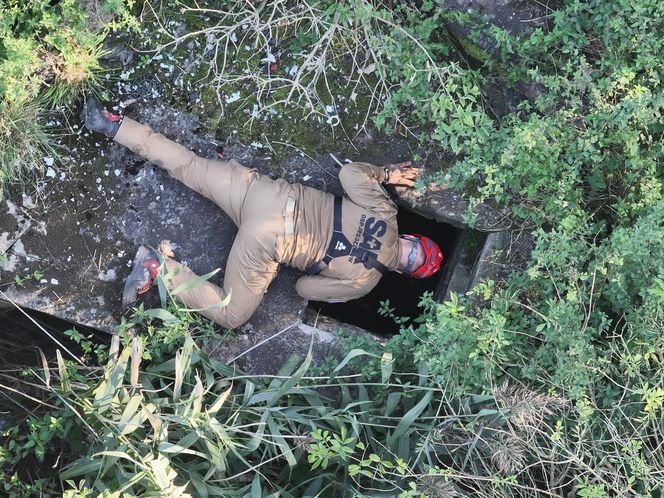 Nie żyje 37-latek z Leszna. Odnaleziony po tygodniach poszukiwań