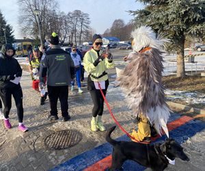 11. Dadajowy Bieg Morsa oraz Bieg na Sześć Łap 