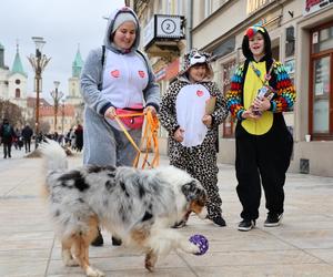 Wolontariusze Wielkiej Orkiestry Świątecznej Pomocy 2024 opanowali Lublin!