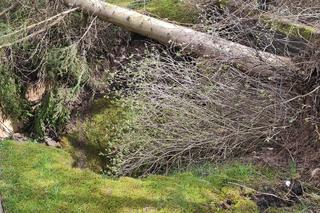 Nowe zapadlisko w Trzebini [12.04.2023] na ul. Jana Pawła II