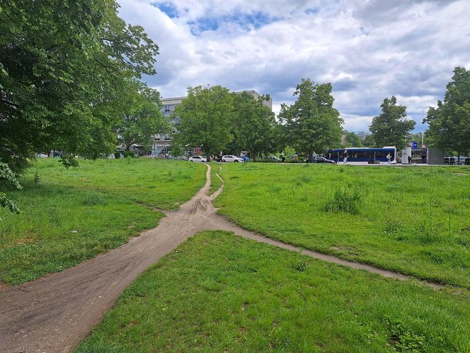 Błonia w Krakowie