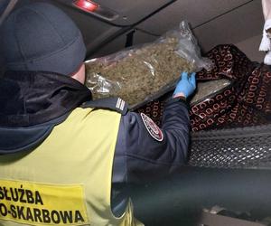 Kierowca ciężarówki miał w kabinie 22 kg marihuany