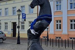 Tak prezentuje się pomnik Seksownego Konia z Konina