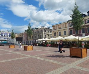 Lipy na Rynku Wielkim