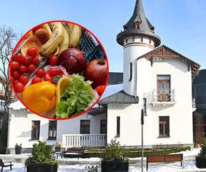 Skandal w Grodzisku Mazowieckim! Serwują dzieciom robaki i pleśń w szkolnych stołówkach?!