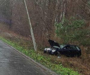 Ledwo stał na nogach, a jednak pojechał. Jazdę skoczył na poboczu, po drodze zaliczył słup