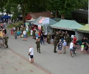 Orkiestry wojskowe i piknik