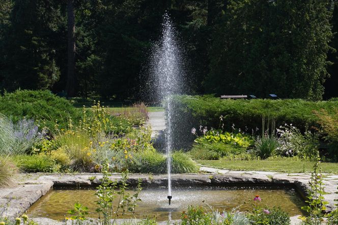 Ogród Botaniczny w Poznaniu 
