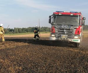 Dwa pożary zboża oraz rżyska w powiecie braniewskim