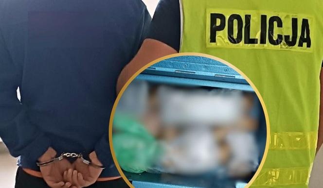 Policjanci poszli za nim do garażu w Fordonie. Znaleźli tam to, na co przestępcy mówią: grzybki