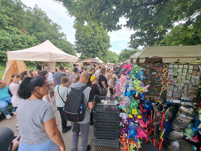 Smoczy Piknik Rodzinny 2025 w Krakowie