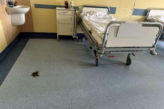 Nie było „dymka”, więc cisnął telefonem! Alarm w szpitalu, strażacy w akcji