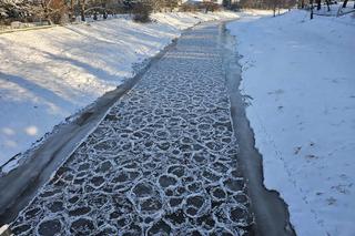  Niezwykłe zjawisko atmosferyczne na rzece w Przeworsku- Lodowe koronki