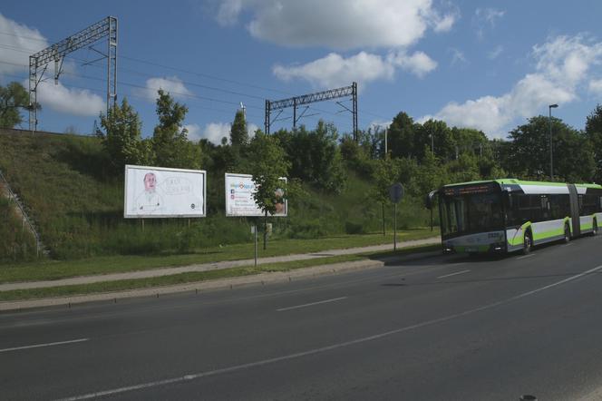 Nietypowe plakaty zawisły w Olsztynie. Ich autorem jest znany rysownik [ZDJĘCIA]