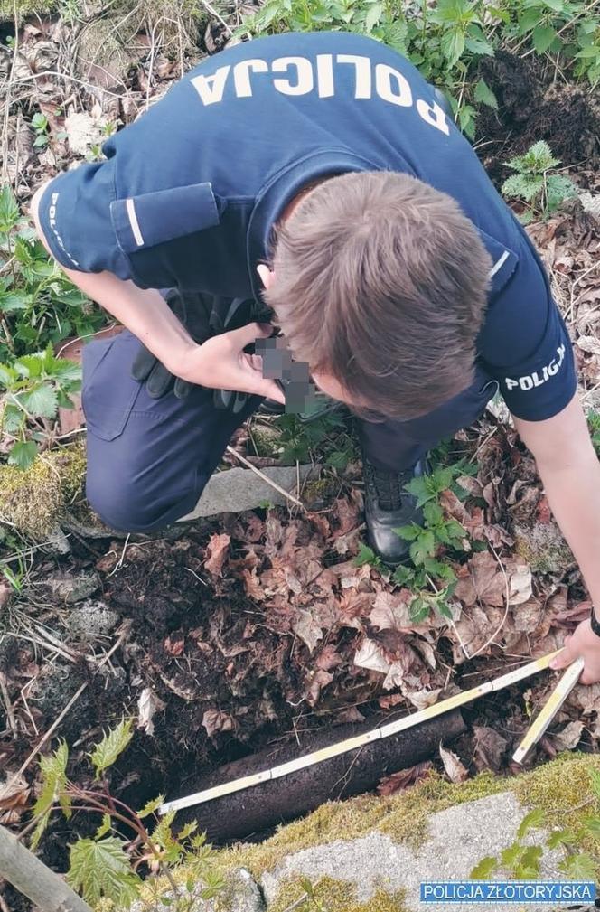 Nowy Kościół ewakuowany. Groźny niewybuchy znalezione podczas porządków