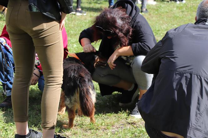 IX Piknik Przyjaciół Schroniska w Toruniu