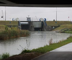 Deszczowy spacer w obiektywie. Tak się prezentuje Zalew Zemborzycki w jesiennej odsłonionie