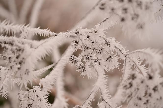 Idą silne mrozy! Nawet -17°C.  W tej części Polski obowiązują alerty [Prognoza pogody IMGW na 11.03.2022]