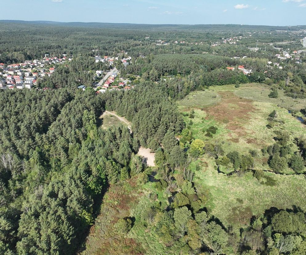 Zalew Bzin w Skarżysku