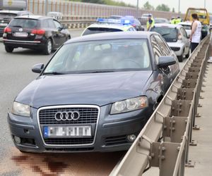 Warszawa sparaliżowana! Karambol po potrąceniu dzika. Kosmiczny korek aż do Marsa