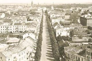 Ogólny widok miasta z kościoła św. Rocha - 1916 rok