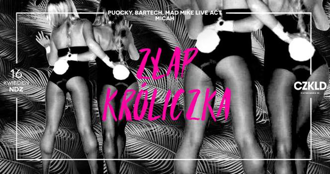 5. Złap króliczka / Mad Mike live act w Klubie Czekolada, niedziela 16 kwietnia