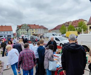 Jarmark Staroci w Wodzisławiu Śląskim