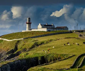 Irlandia oferuje 90 tys. dolarów za przeprowadzkę na wyspy. Jest jeden warunek