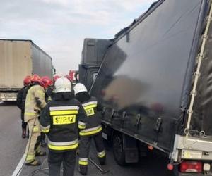 Zderzenie Busa z ciężarówką na S7! Kierowca samochodu dostawczego w szpitalu