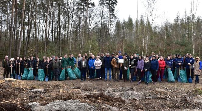 Las Pamięci w Marchwaczu