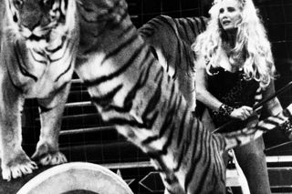 Sally Kirkland nie żyje. Odeszła wielka gwiazda