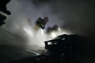 Rezerwat Dzikich Dzieci pożar