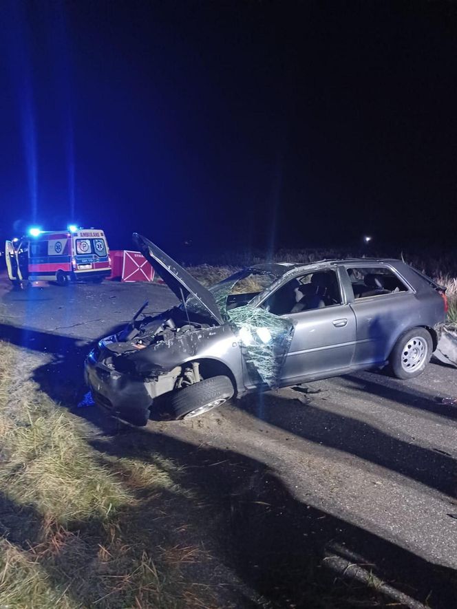 Śmiertelny wypadek pod Bełchatowem. 36-letek zderzył się z sarną [ZDJĘCIA].