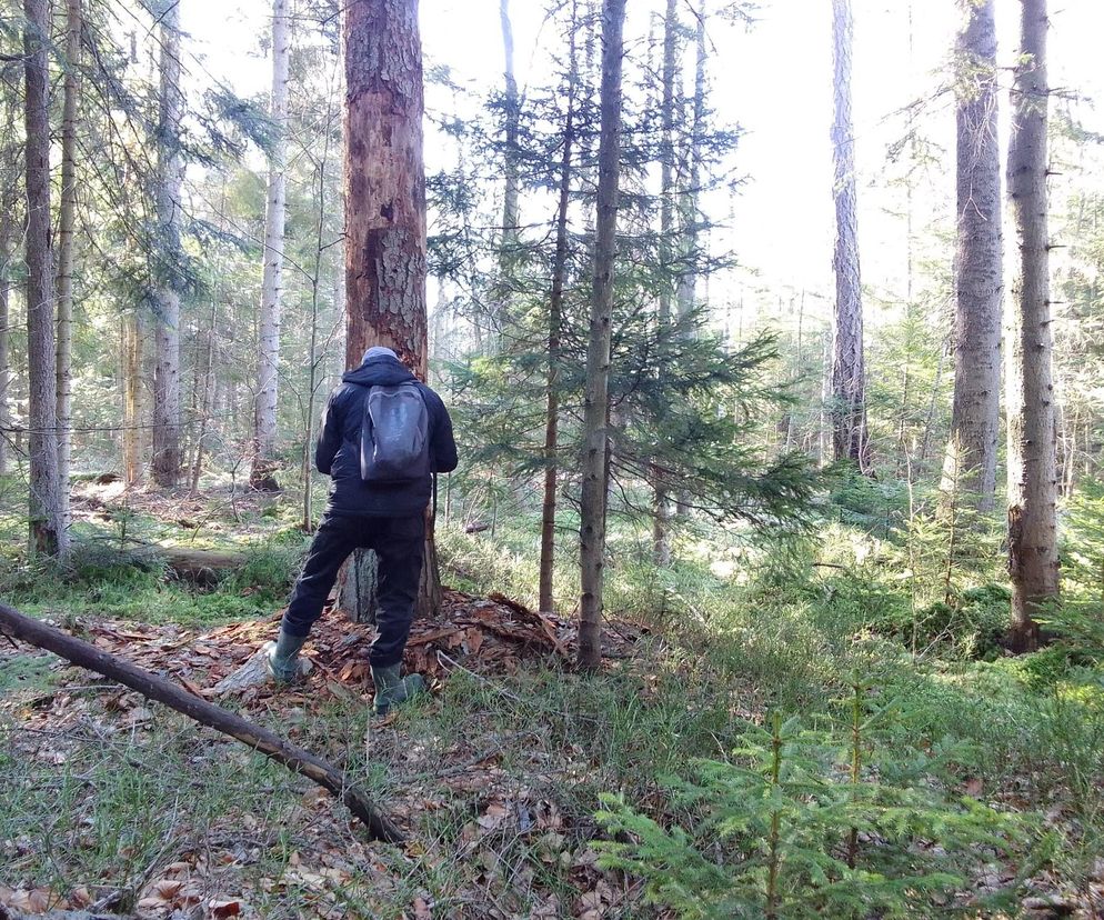 Ogromny rezerwat w świętokrzyskim! Większa jest tylko Białowieża
