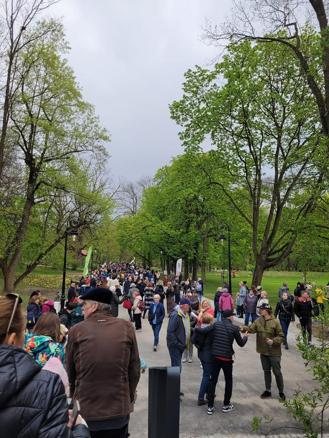 Kraków. Wyremontowany park Bednarskiego oficjalnie otwarty