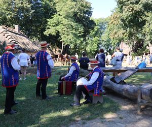 W skansenie w Lublinie pokazali, jak dawniej wyglądały wykopki kartoflane