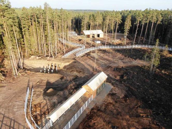 Kopna Góra. Na Podlasiu powstaje zagroda pokazowa żubrów