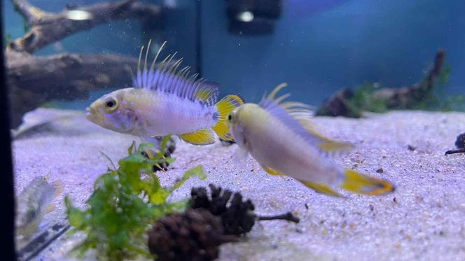Rozmawiamy z Tomaszem Wiśniewskim, założycielem Aqua Dreams Bydgoszcz