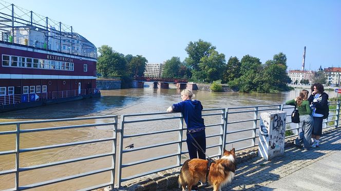 Trwa zabezpieczanie budynków na Wyspie Młyńskiej, na osiedlu Nadodrze 