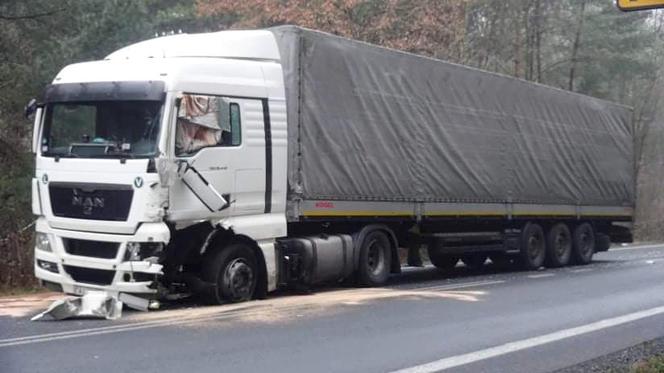 Śmiertelny wypadek na DK 50. Nie żyje mężczyzna
