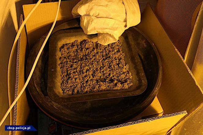CBŚP rozbiło gang: zlikwidowało laboratoria, plantacje marihuany, skonfiskowało blisko 80 kg amfetaminy, przejęło nieruchomości, samochody, pieniądze.